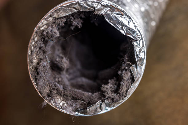 Best Affordable HVAC Duct Cleaning  in Wagener, SC